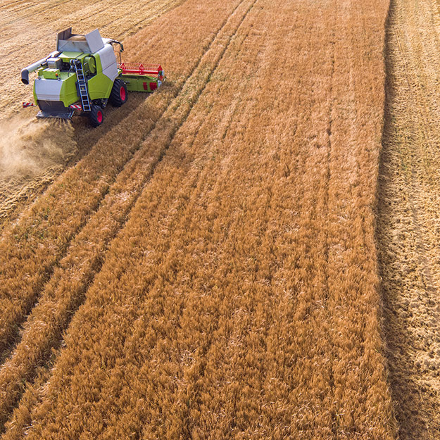 BIOTELLIGA-wheat-harvest